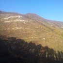 억새풀농장 이미지