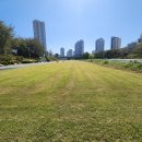 온천천일대10 이미지