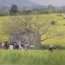 종신농장 이미지