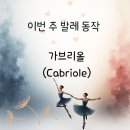 (주)더무브먼트 이미지