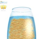 Fish Bowl 그래픽 성능 테스트 이미지