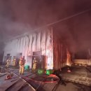 낙뢰로 불 나고, 나무 쓰러지고, 경기북부 곳곳 비 피해 이미지