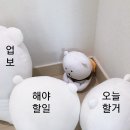 치킨신드롬(정관2호점) | 01. 직장인 일상 ｜ 블로그 공백기, 쌩이직준비, 미래고민, 3월 일상