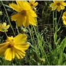 동행 법무사 행정사 사무소 이미지