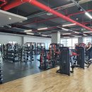 자이언트헬스 이미지