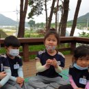 조하유치원 이미지