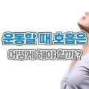 노블레스헬스 이미지