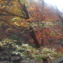 유상행정사사무소 이미지