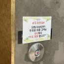 주정차단속-137 | [결혼일기] 1. 김해 메르시앙 웨딩홀 계약(26년 1월 식)