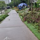 당현3교 이미지