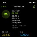 골든코스트 이미지