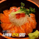 쇼우도우