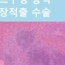 메디스동물병원 이미지