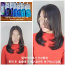 50대 여자 볼륨세팅 복구 펌 히피펌 신논현역 미용실에서