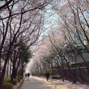 세븐일레븐 경의숲길점 이미지