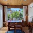 제주코기네 이미지