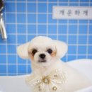 개운하개 이미지