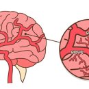한림병원 앞 이미지