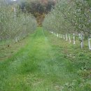 듬뿍농장 이미지