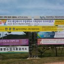 미어실 Daum카페