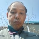 논공하나뉴마트 Daum카페