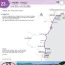 금음교차로 | 해파랑길 23코스 후포항-백석해변-고래불해변 여행기록