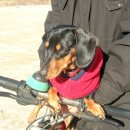 룰루랄라 이미지