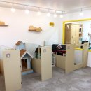 도그애견샵 이미지