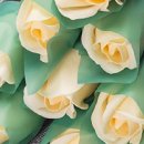 장미어린이집 이미지