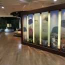 숲사랑(산불방지)홍보관 이미지