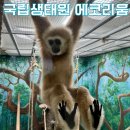 에코리움 | 서천 아이랑 가볼만한곳 추천 국립생태원 에코리움 후기