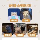 팝콘하우스펜션2 이미지