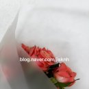 풀오브플라워스튜디오