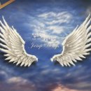 점프윙스태권도장 이미지