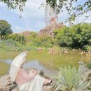 젯마을골 | 나트랑 빈원더스 (구:빈펄랜드)1day코스 사진맛집 !