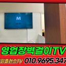 해피플러스여행사