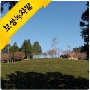 대성카24시정비 | 광주 근교여행, 렌트카로 더 편하게