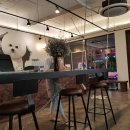 대백애견 이미지