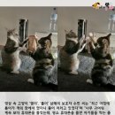 푸른하늘은하수 이미지