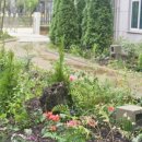 위례솔초등학교 이미지