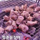 청춘꼼장어 | 의정부 고산동 숯불 산꼼장어 맛집 청춘꼼장어 내돈내산 후기