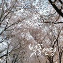 캘리서당