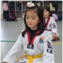 다원태권도장 이미지