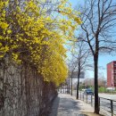 감일나온한의원 | 주엽다이어트 할때 내 체질을 아는 한의원을 찾으려면