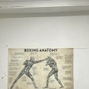 더블에이치 복싱짐 이미지