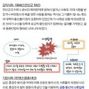 도식으로 알아보는 4대 사화(士禍) 이미지