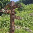 고대산리조트 이미지