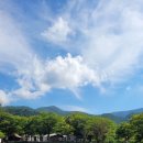 유명산밸리 캠핑장 이미지
