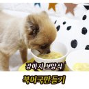 강아지 보양식 북어국만들기 네꼬망이 원기회복!