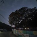 내곡3리 이미지